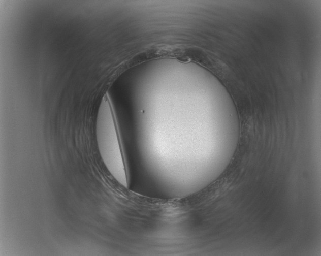 X0000060550914200511030848