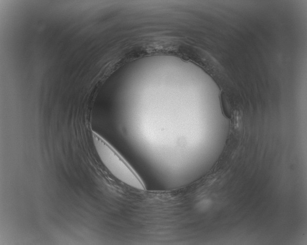 X0000060550915200511030848