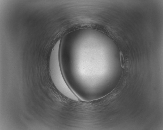 X0000060550916200511030848