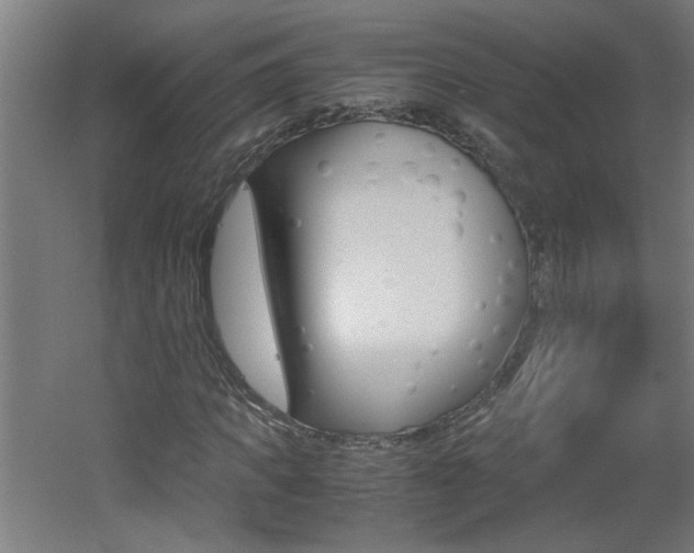 X0000060550917200511030848
