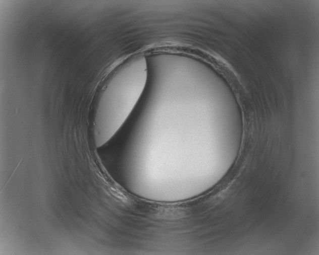 X0000060550921200511030848
