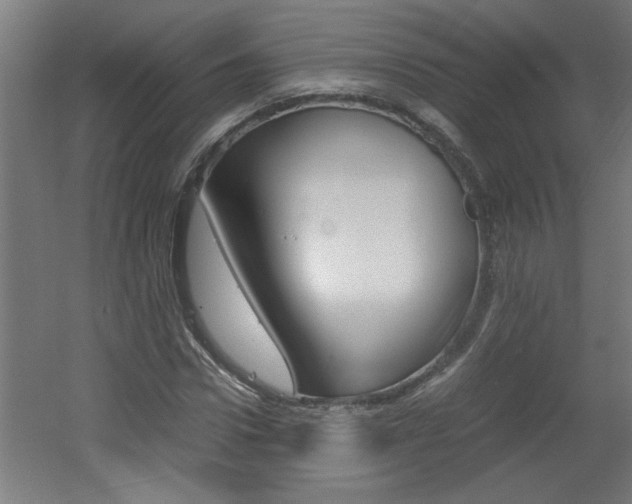 X0000060550922200511030848