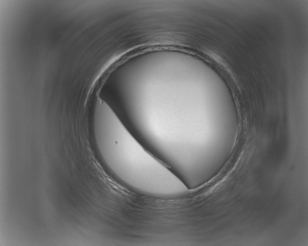 X0000060550925200511030848