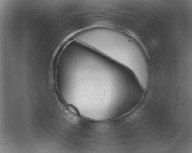 X0000060550931200511030848