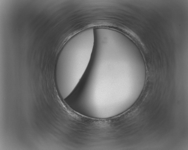 X0000060550937200511030848