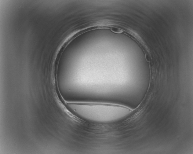 X0000060550939200511030848
