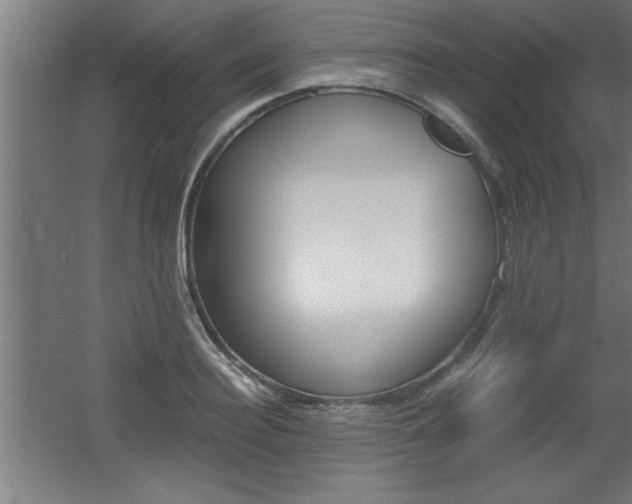 X0000060550940200511030848