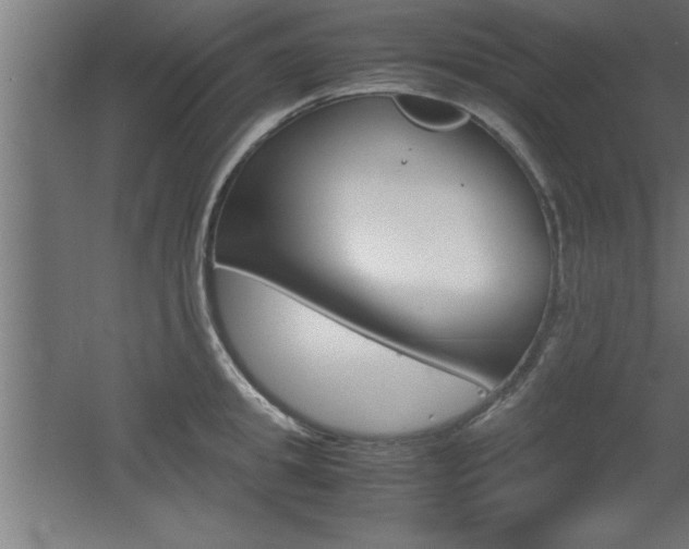 X0000060550949200511030848