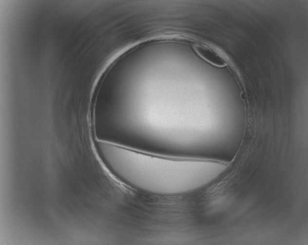 X0000060550951200511030848
