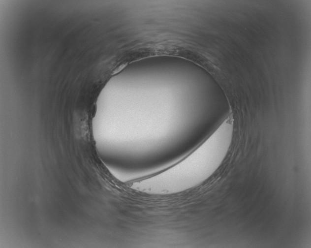 X0000060550963200511030847