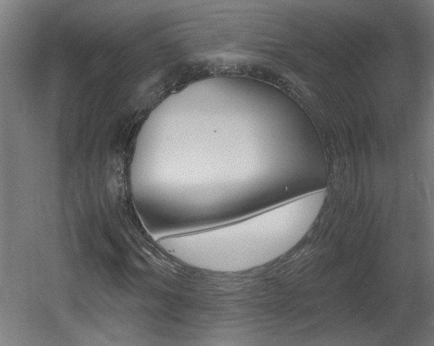 X0000060550964200511030847