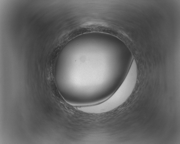 X0000060550965200511030847