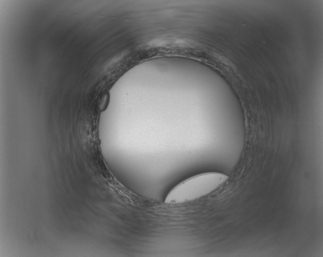 X0000060550966200511030847