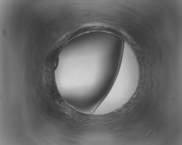 X0000060550967200511030847
