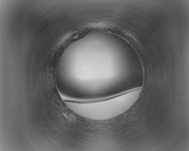 X0000060550968200511030847