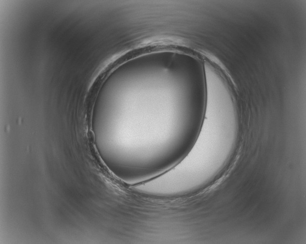 X0000060550973200511030847