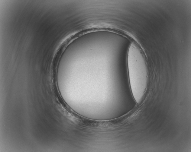X0000060550979200511030847