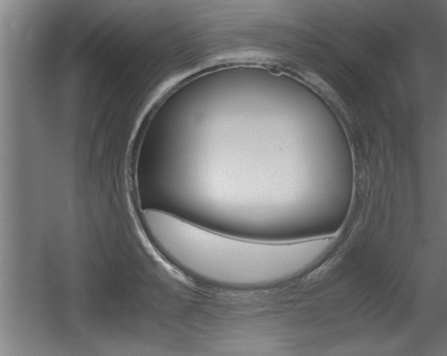 X0000060550989200511030847