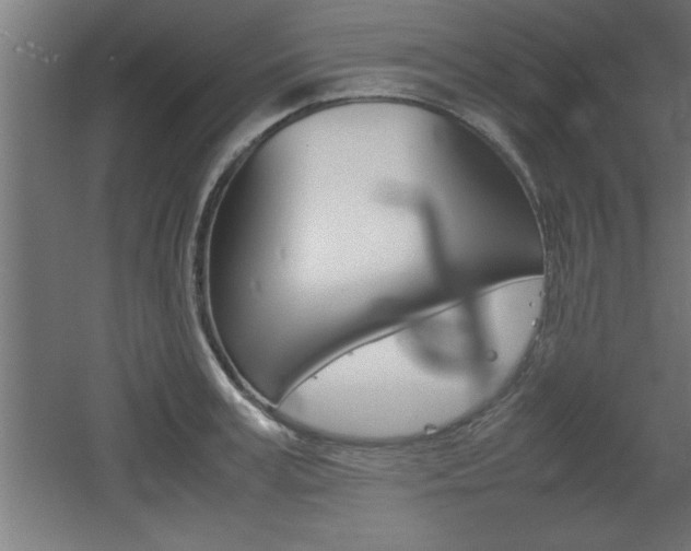 X0000060550995200511030847
