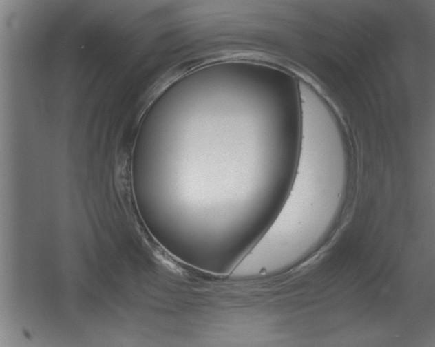 X0000060551001200511030847
