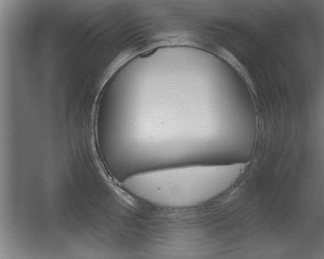X0000060551002200511030847