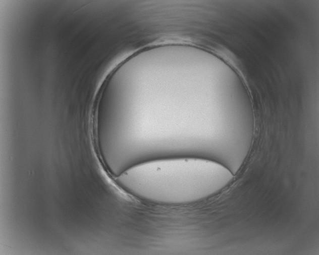 X0000060551003200511030847