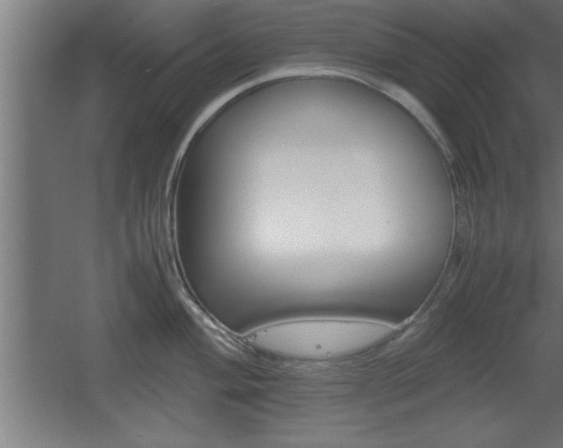 X0000060551004200511030847