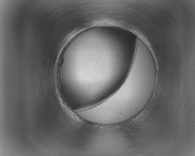 X0000060551008200511030847