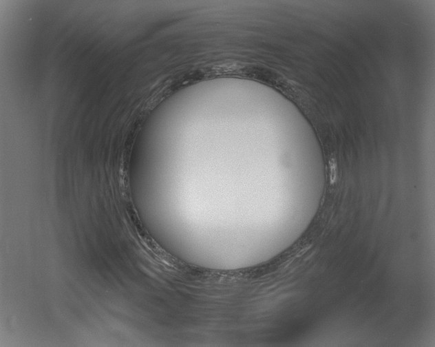 X0000060551011200511030846