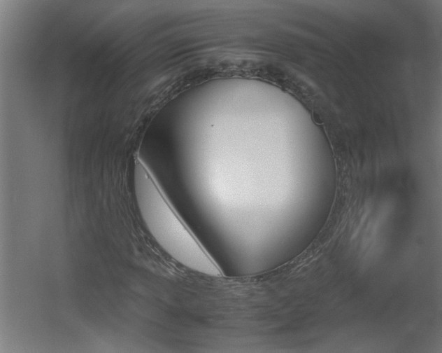 X0000060551013200511030846