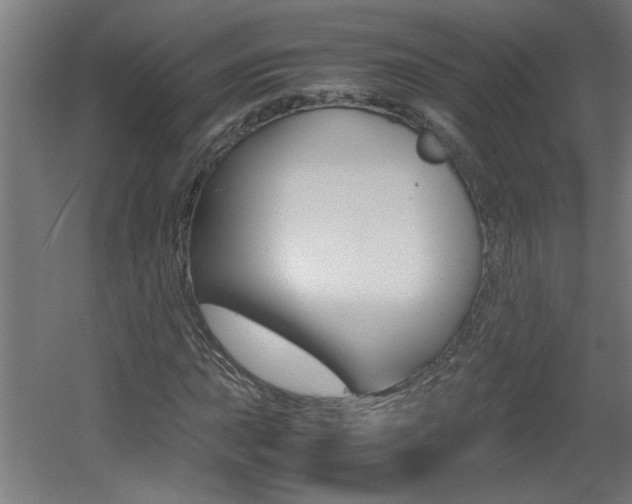 X0000060551015200511030846