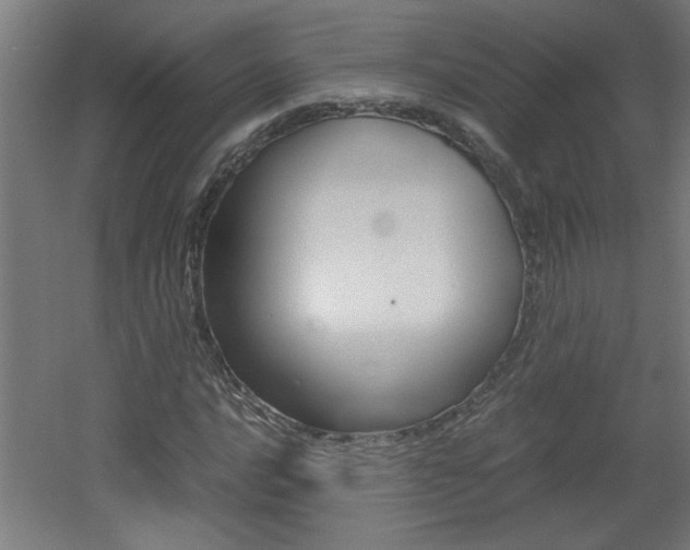 X0000060551016200511030846