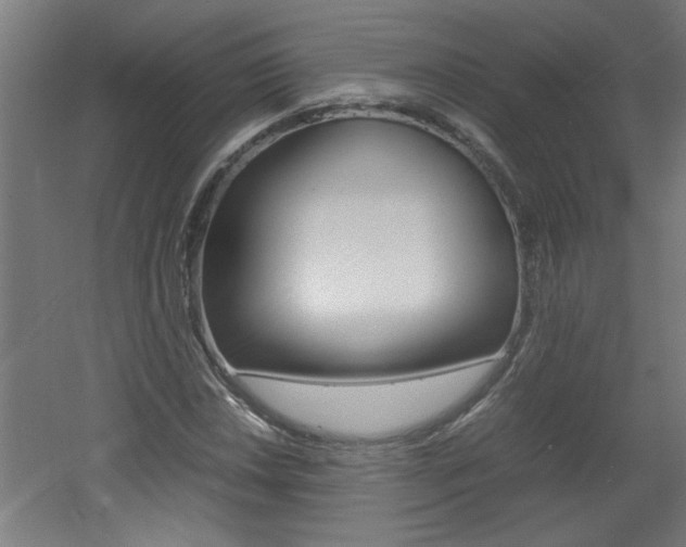 X0000060551018200511030846