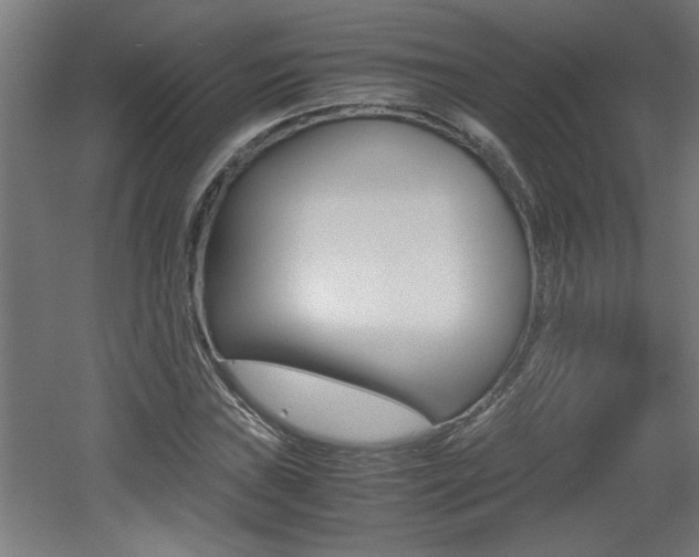 X0000060551019200511030846