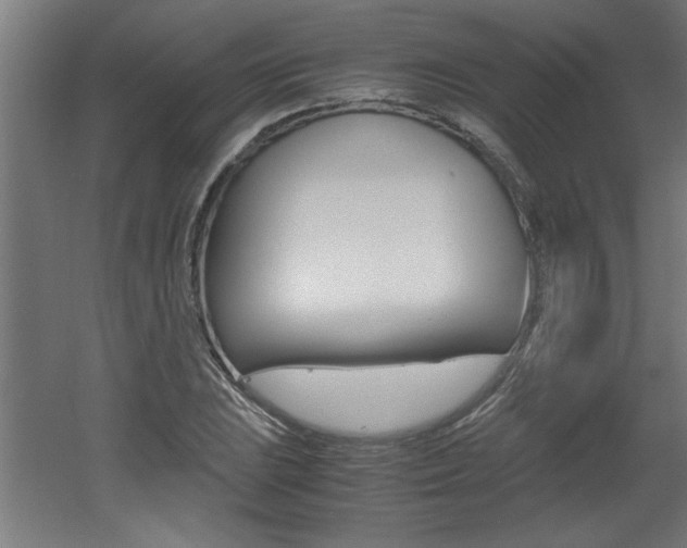X0000060551023200511030846
