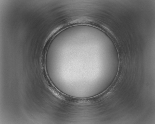 X0000060551026200511030846