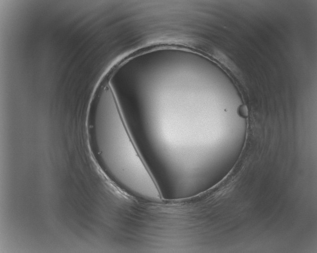 X0000060551028200511030846