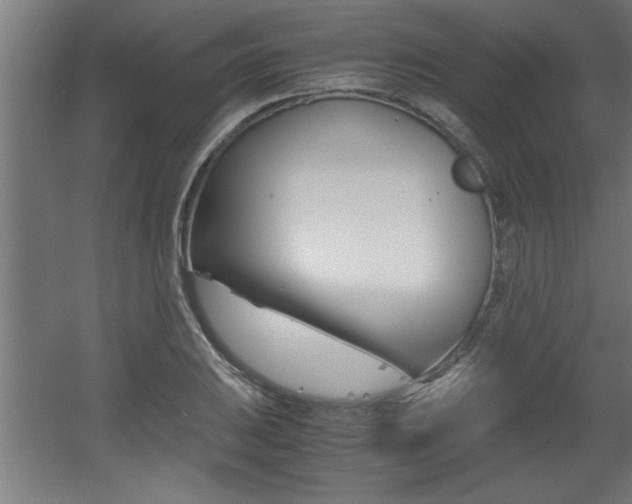 X0000060551031200511030846