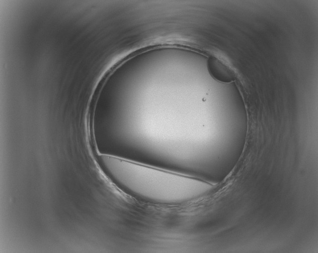 X0000060551032200511030846