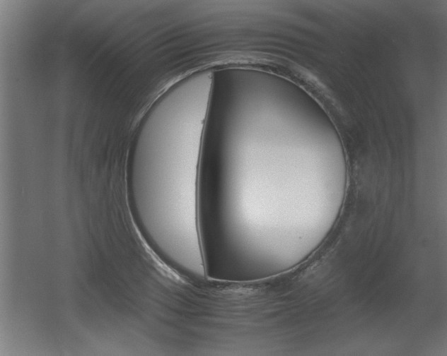 X0000060551033200511030846