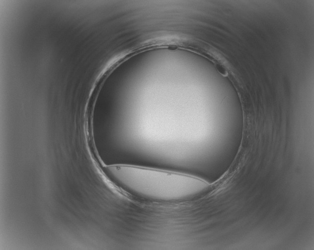 X0000060551034200511030846