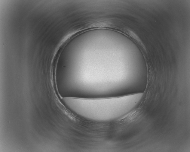 X0000060551035200511030846