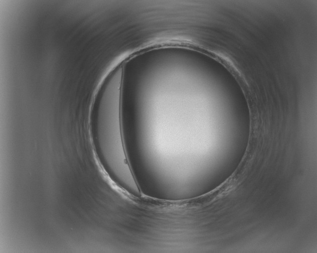 X0000060551038200511030846