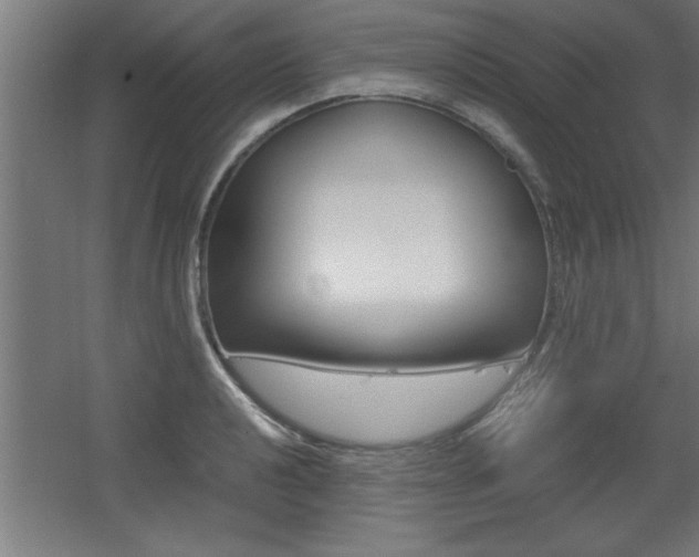 X0000060551040200511030846