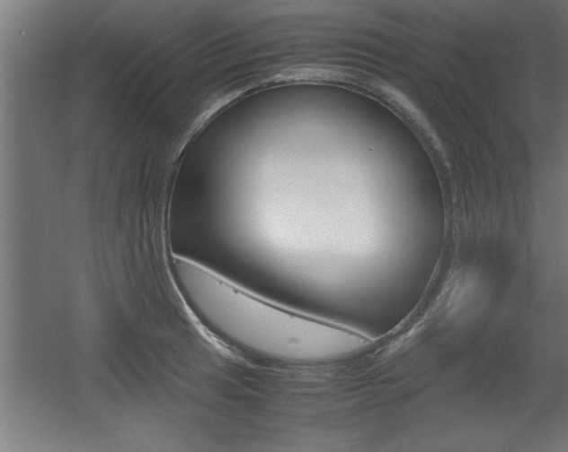 X0000060551041200511030846