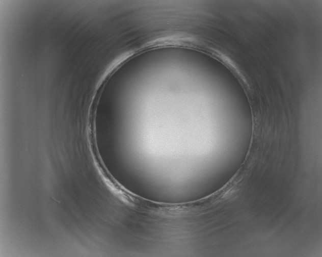 X0000060551042200511030846