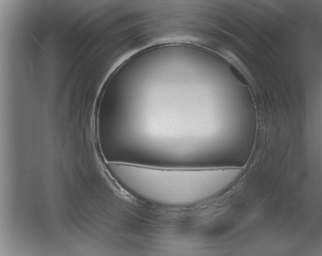 X0000060551044200511030846
