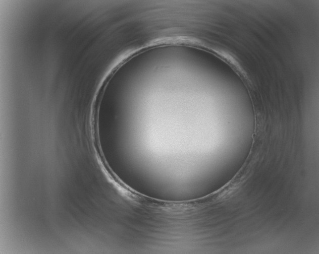 X0000060551046200511030846