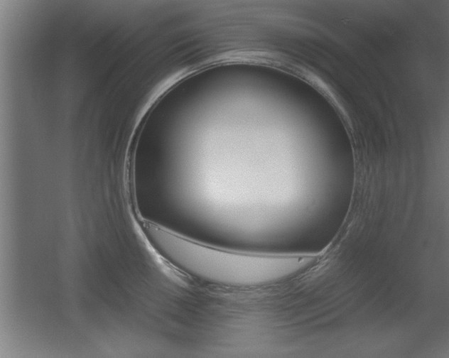 X0000060551050200511030847