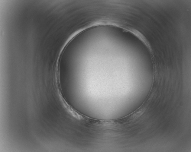 X0000060551052200511030847